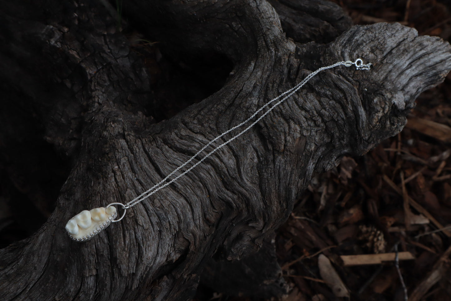 Reserved for Cora - Raccoon Skull Fragment Necklace - .925 Sterling Silver