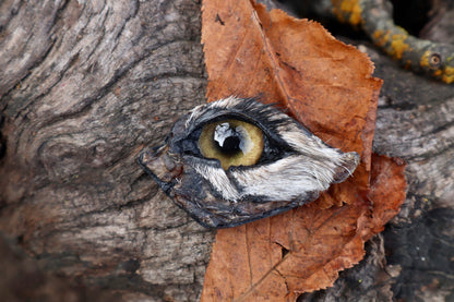 Reserved for Remi - Dry Preserved Gray Wolf Eye