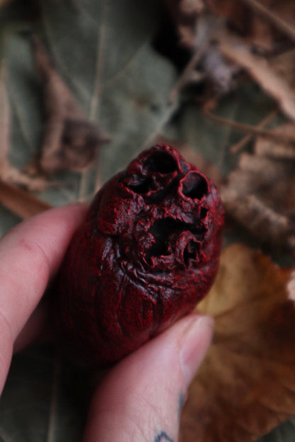 Dry Preserved Red Fox Heart