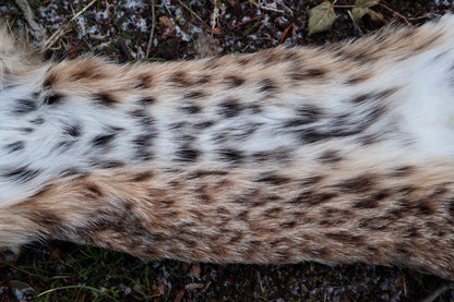 Bobcat Wallhanger