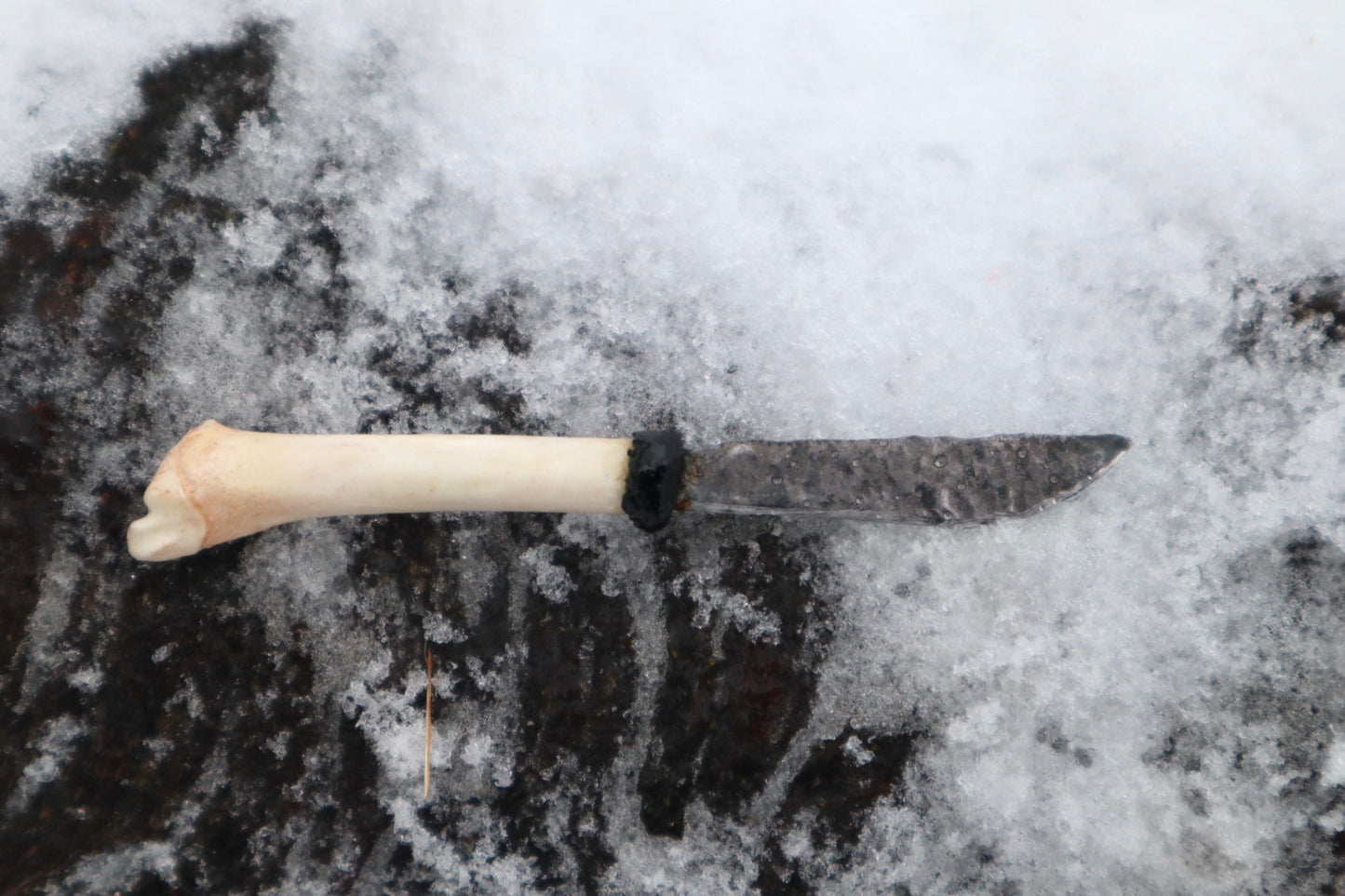 Kitten Tibia Knife