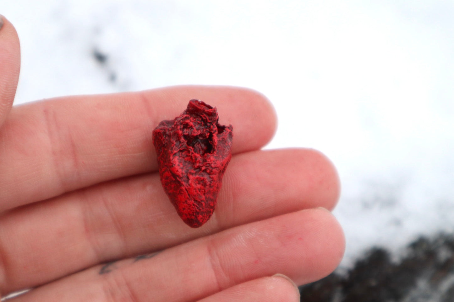 Dry Preserved Chicken Heart