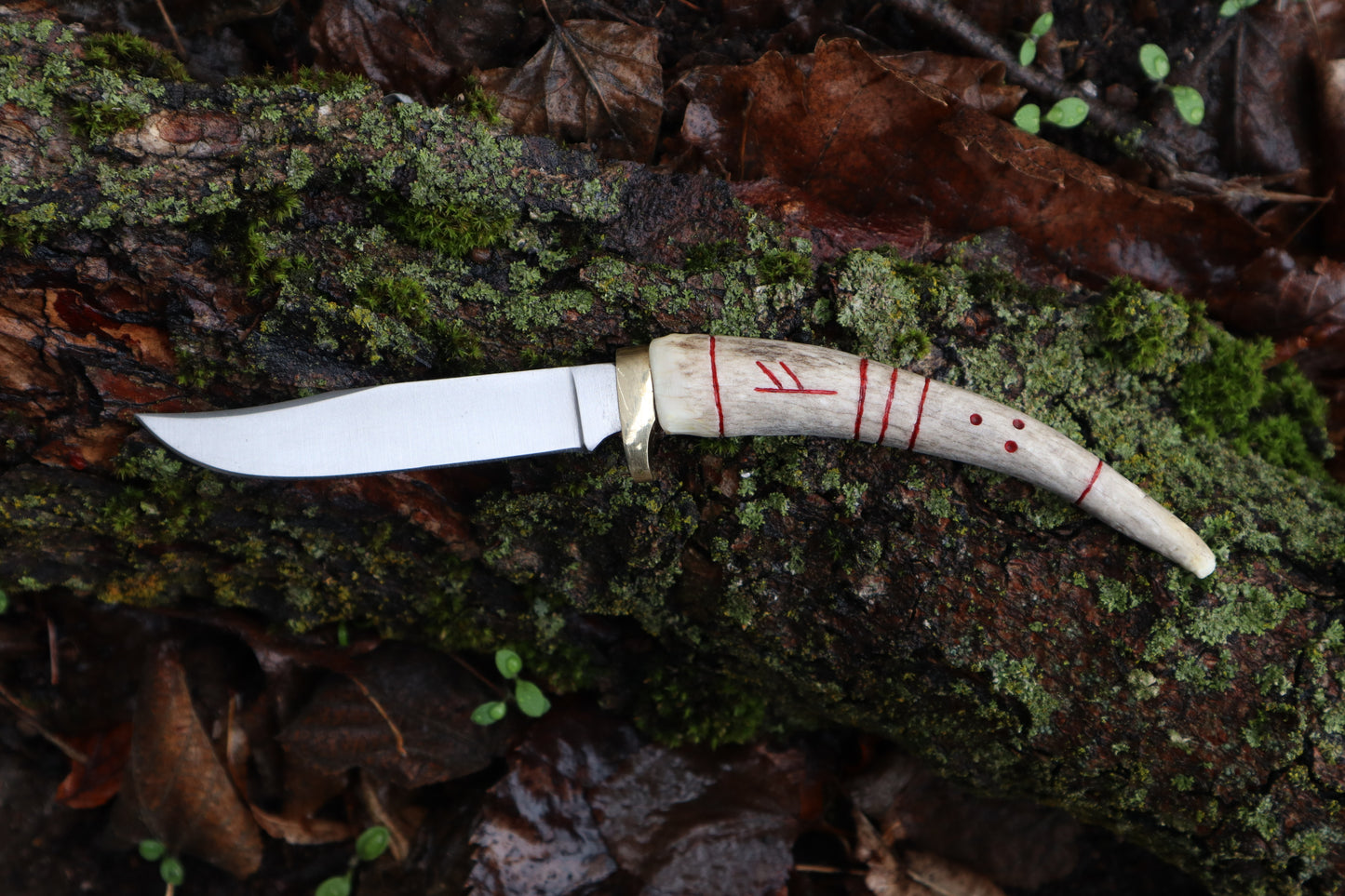 Reserved for stoner.witches - Whitetail Deer Antler Foraging Knife