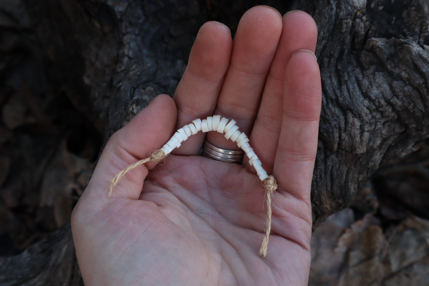 Reserved for Alexandra - Domestic Kitten Bone Beads