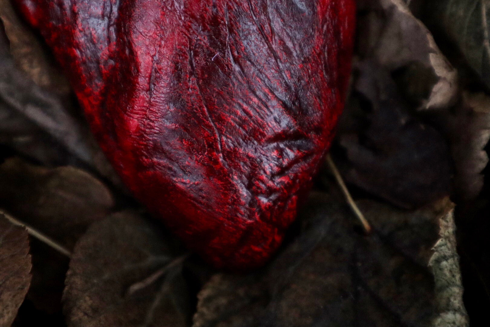 Dry Preserved Lamb Heart