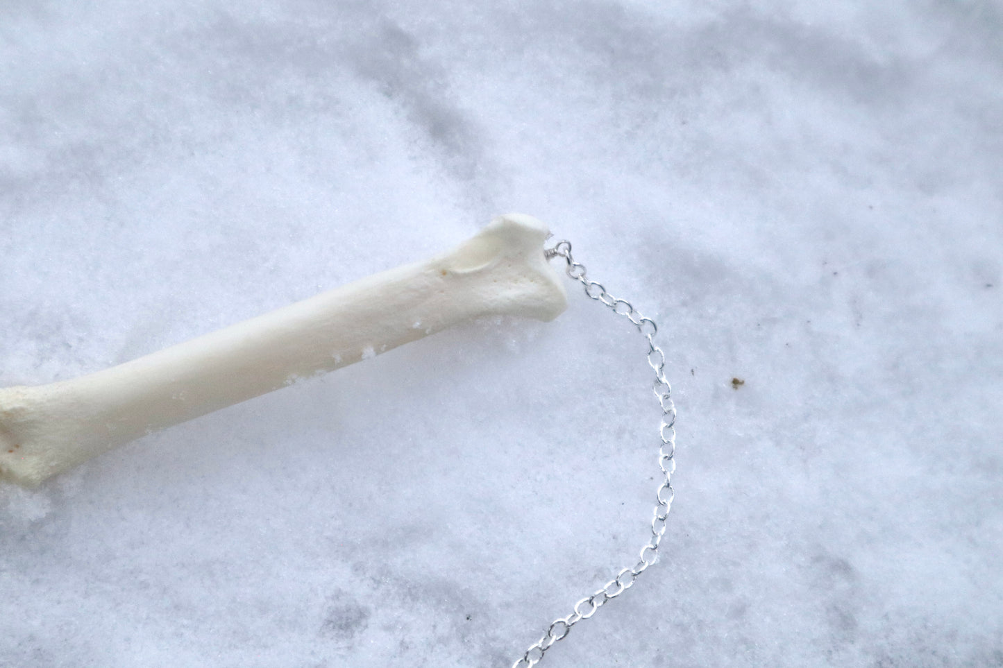 Mountain Lion Toe Pendulum with a Garden Quartz Point