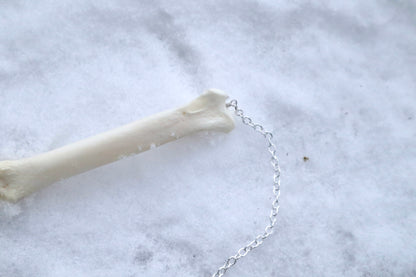 Mountain Lion Toe Pendulum with a Garden Quartz Point