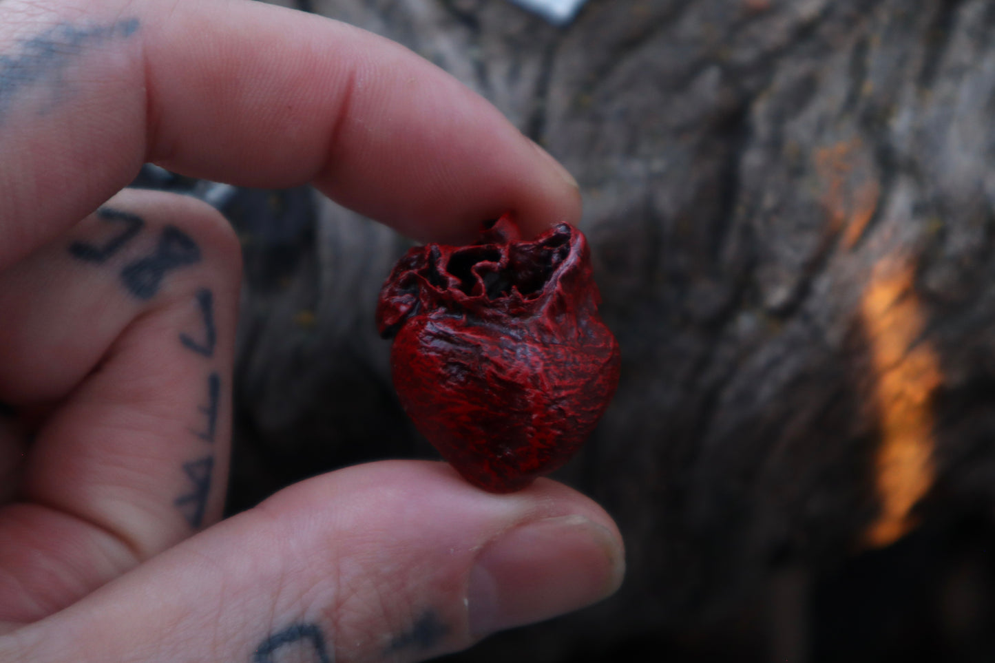 Dry Preserved Cottontail Rabbit Heart and Lungs