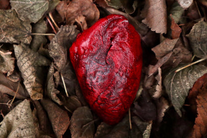Dry Preserved Lamb Heart