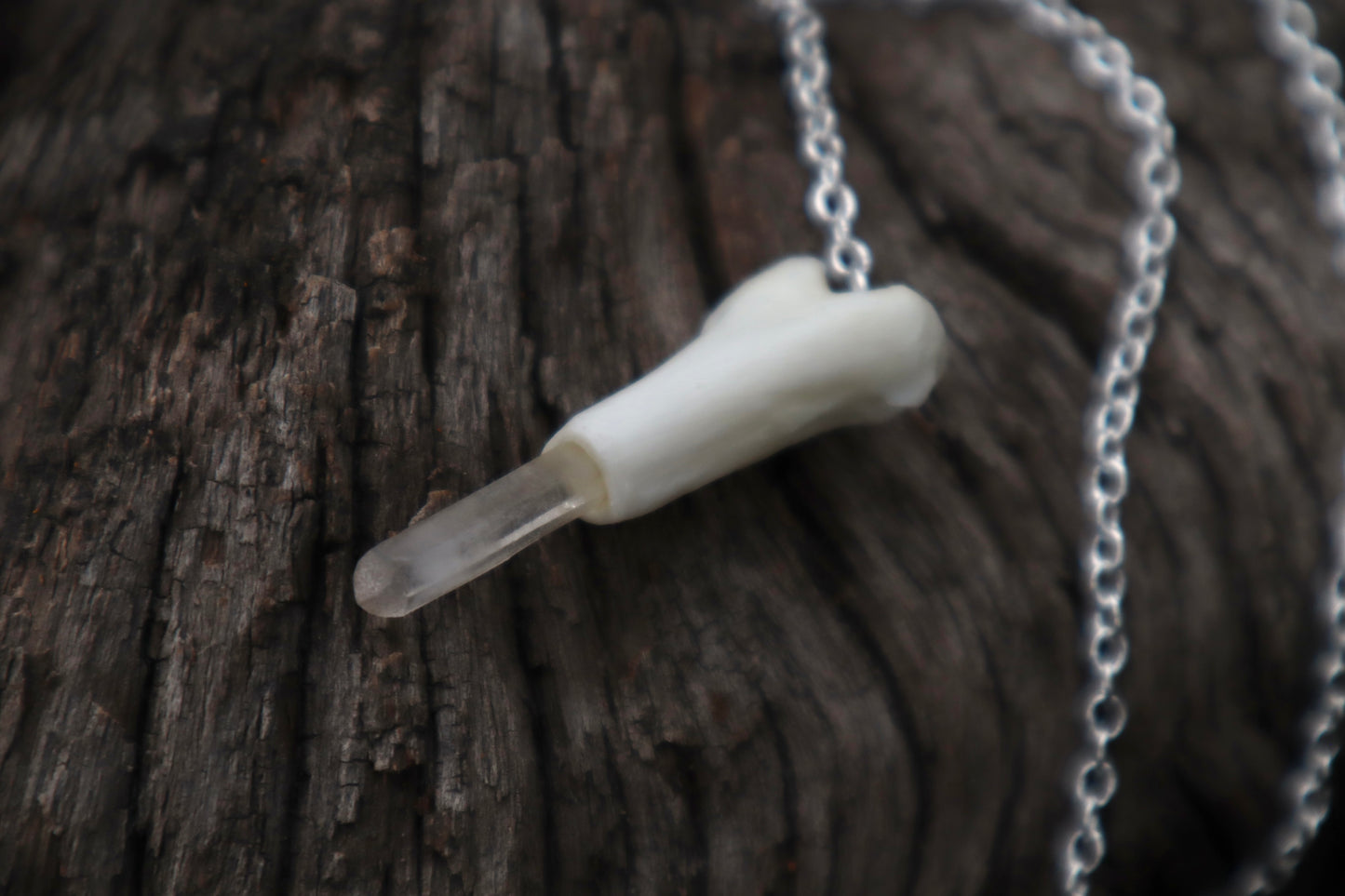 Reserved for Ashley - Two Domestic Cat Tibia Pendulum with Ouroboros Ring