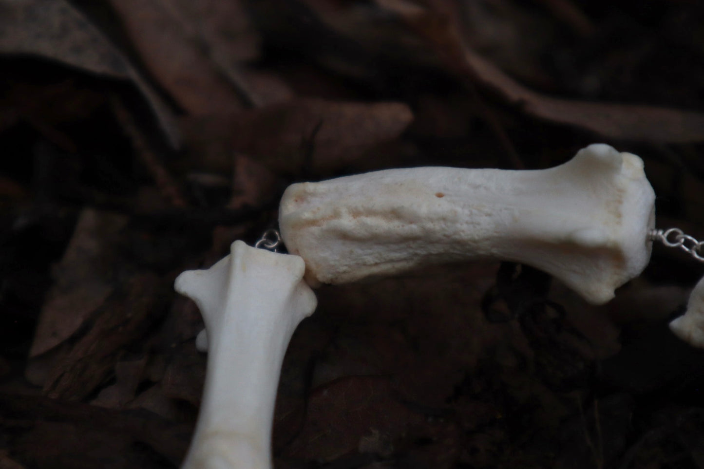 Pathological Fluid Mountain Lion Tail Articulation with Ouroboros Ring