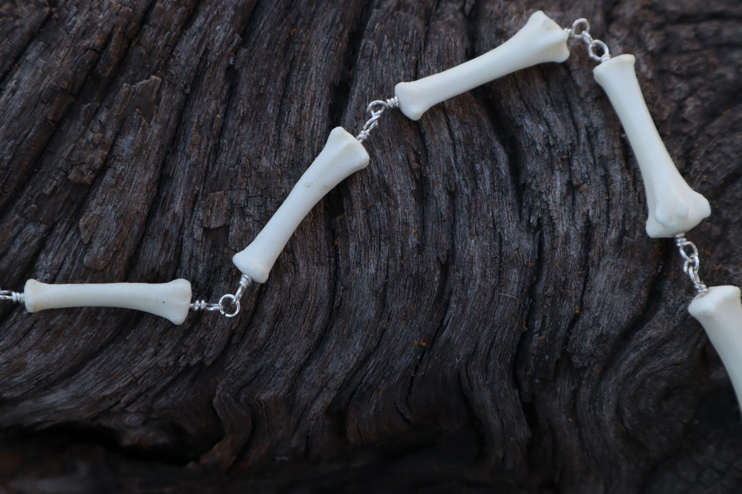 Fluid Coyote Tail Articulation with Ouroboros Ring
