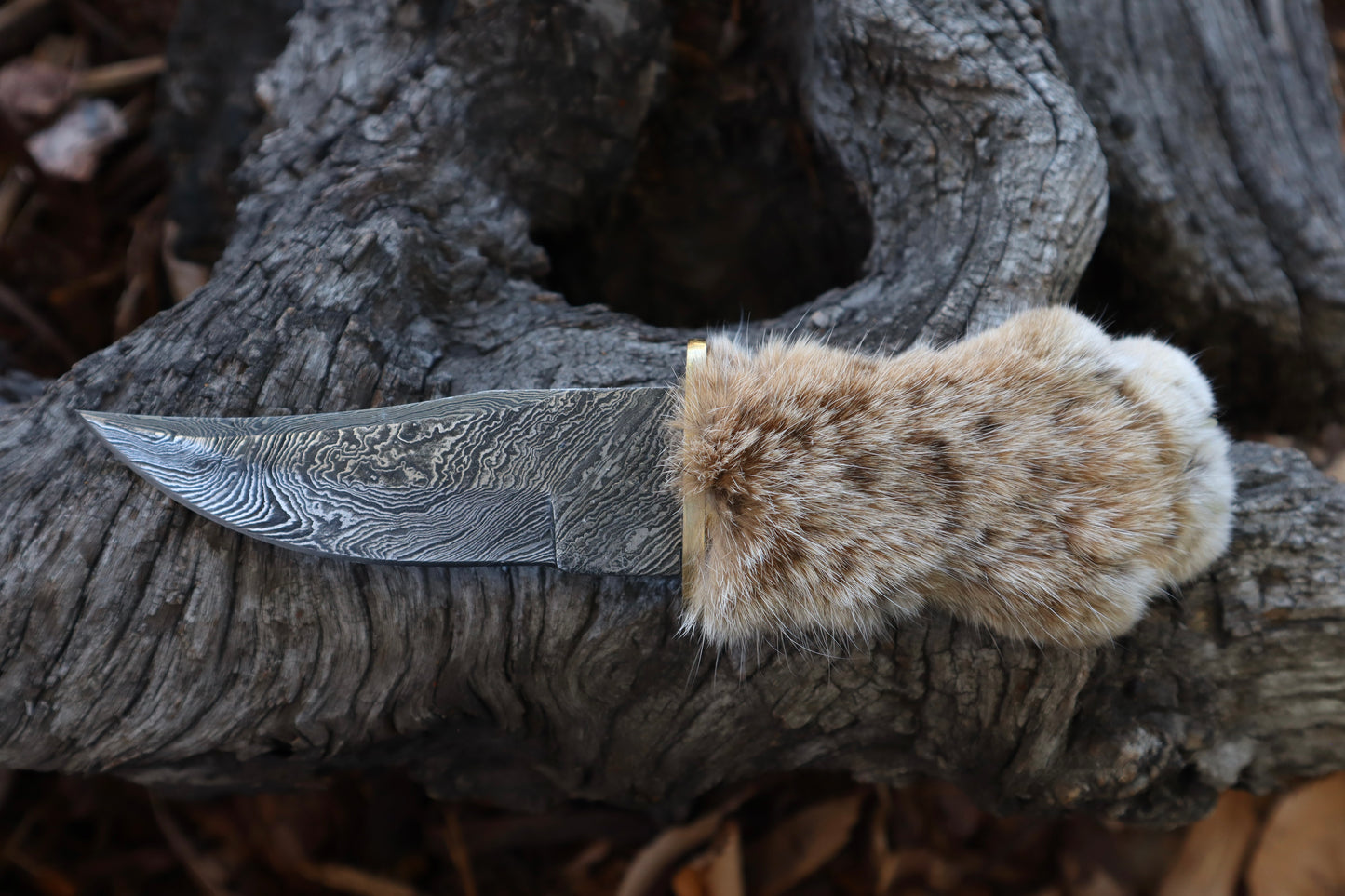 Reserved for Squirtle - Custom Leather Sheath for Bobcat Paw Knife