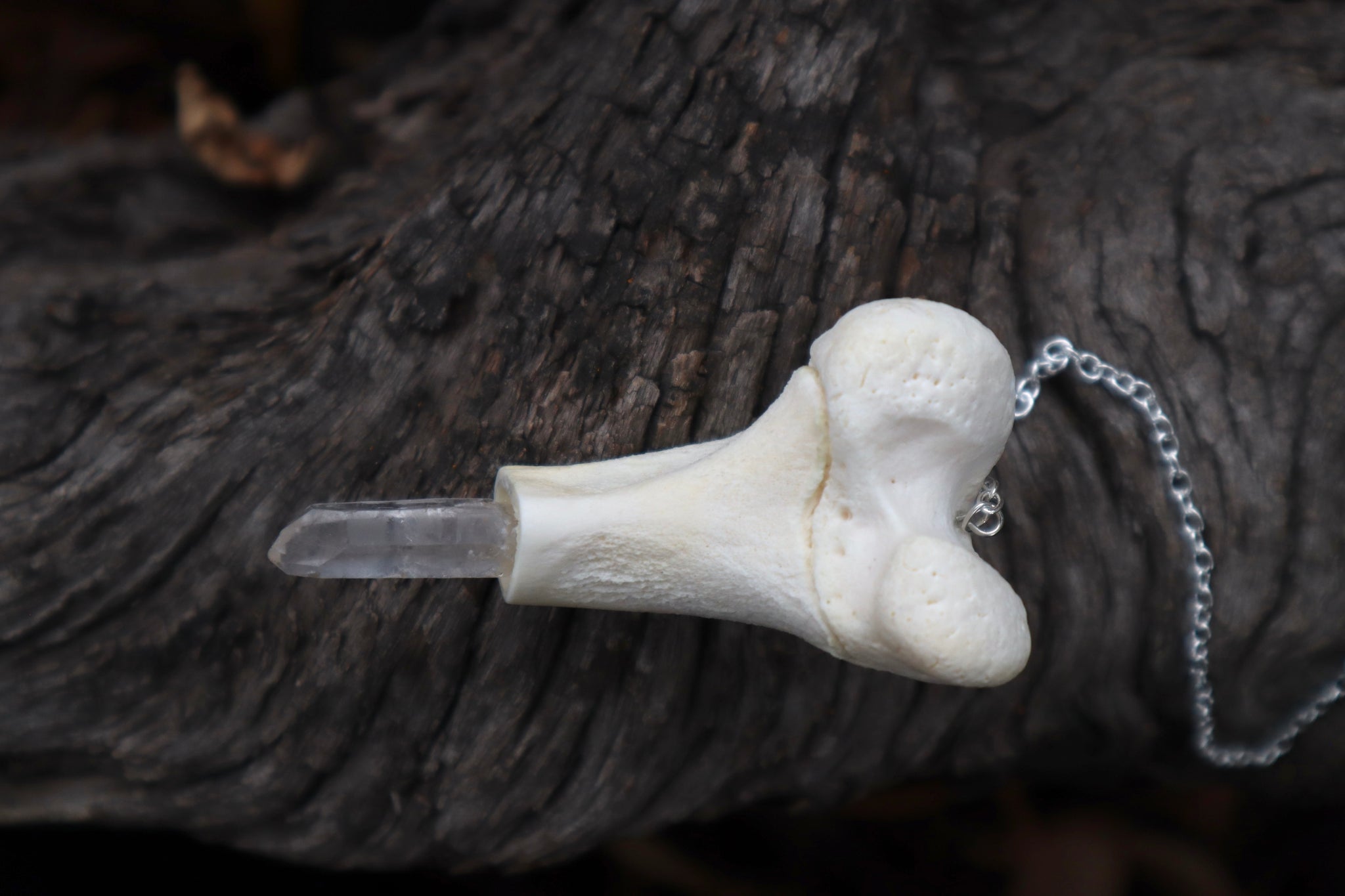 Whitetail Fawn Femur Pendulum with Ouroboros Ring