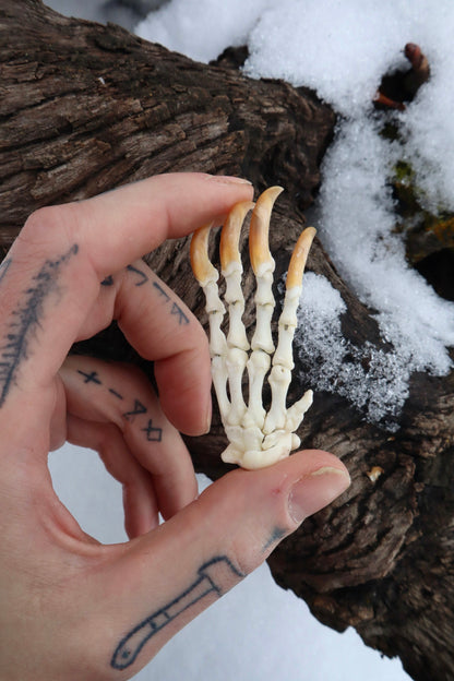 Porcupine Paw Articulation