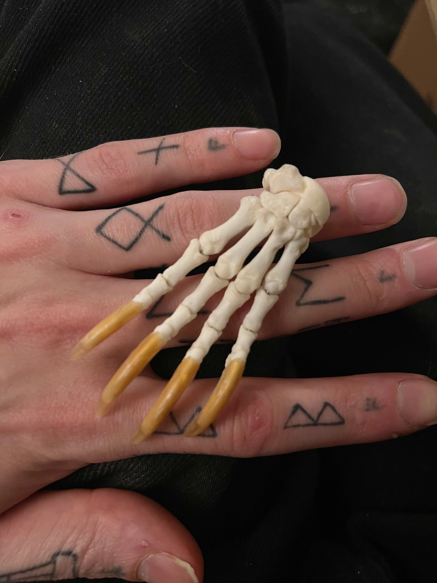Reserved for Cody - Porcupine Paw Articulation