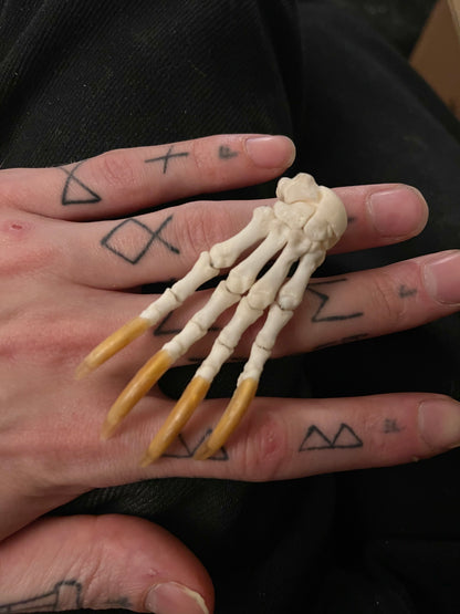 Reserved for Cody - Porcupine Paw Articulation