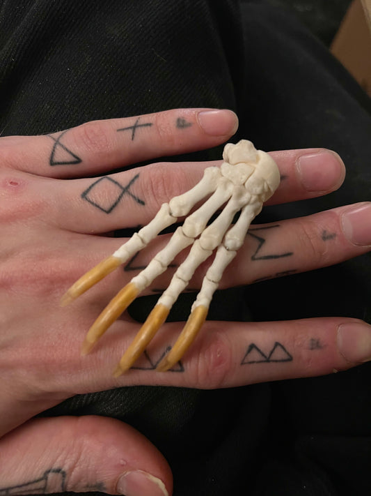 Reserved for Cody - Porcupine Paw Articulation