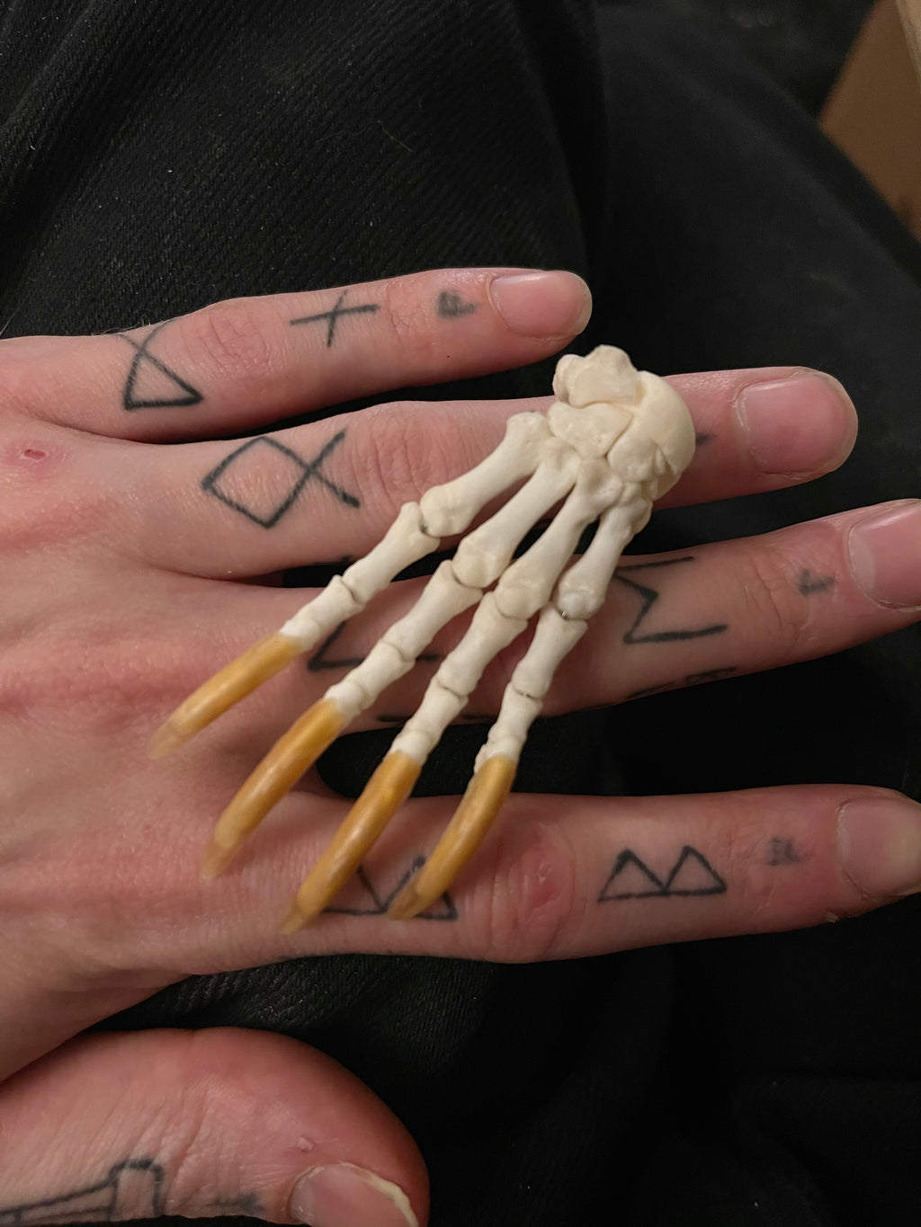 Reserved for Cody - Porcupine Paw Articulation