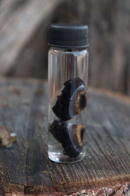 Reserved for Emily - Black Wolf Eyeballs and Tongue