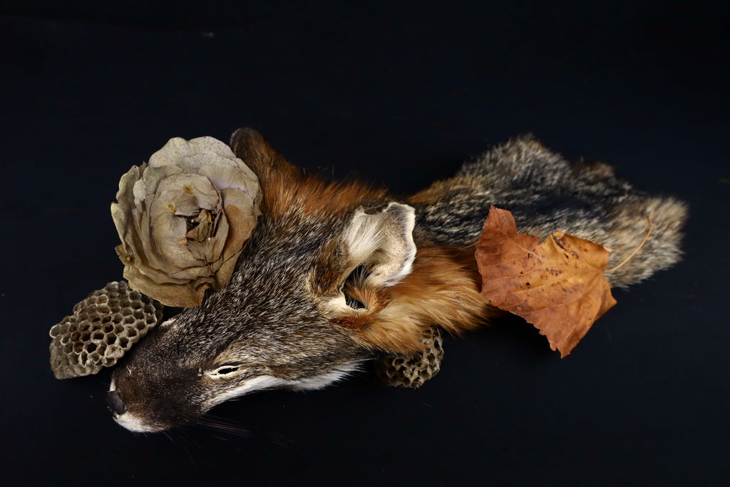 Gray Fox Face/Cape
