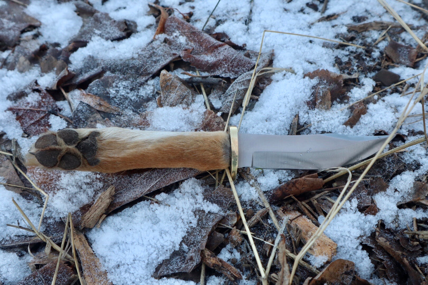 Coyote Paw Knife
