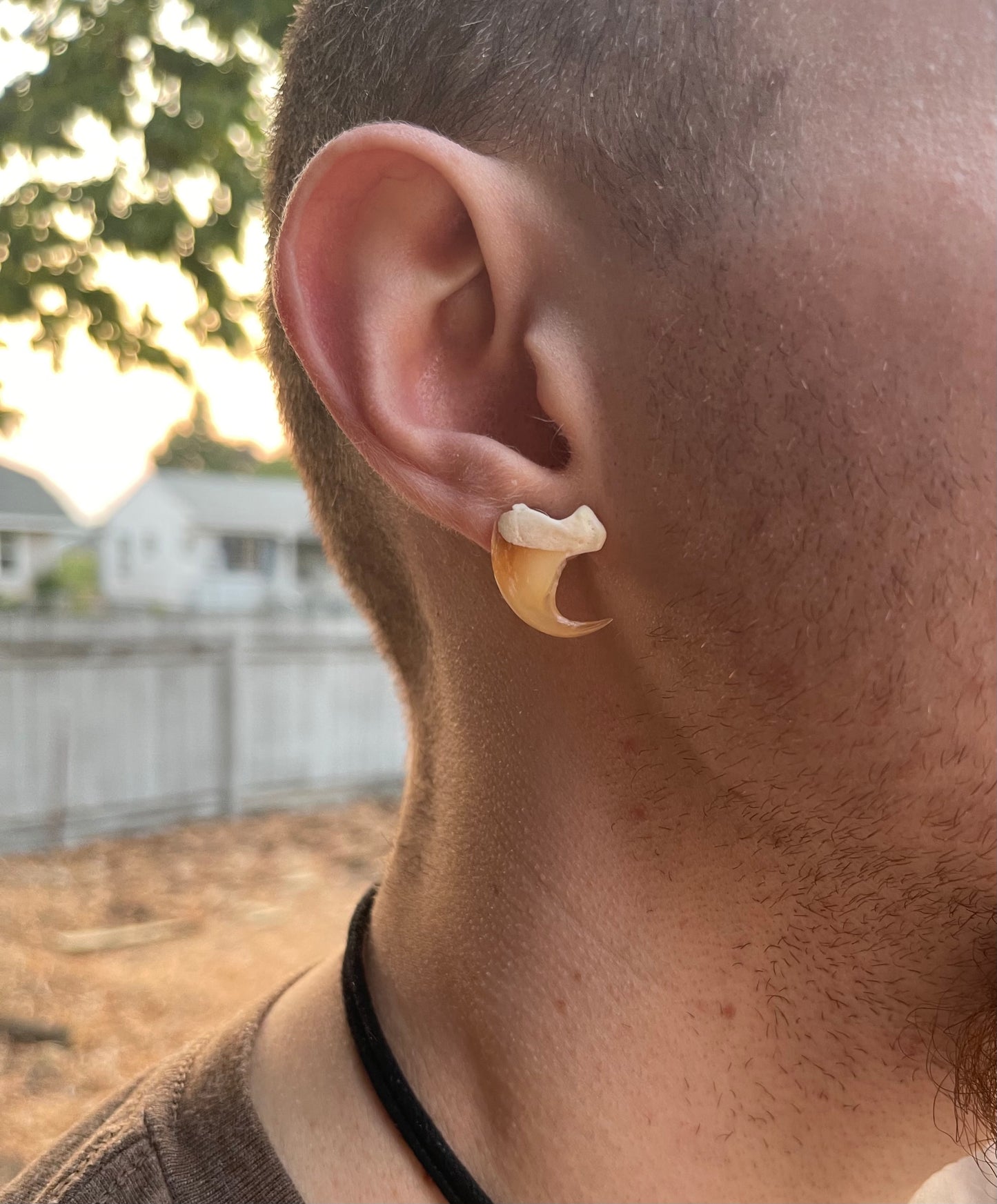 Bobcat Claw Stud Earring - .925 Silver
