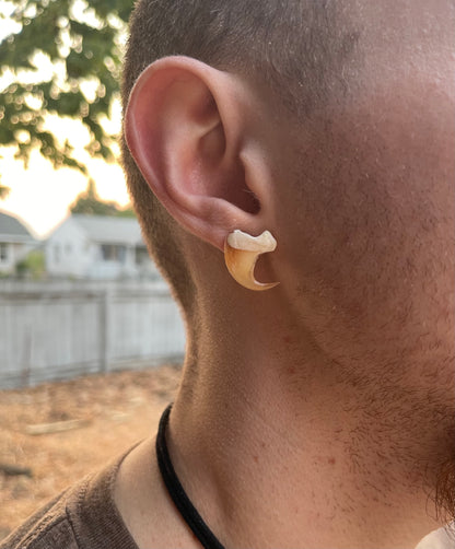 Bobcat Claw Stud Earring - .925 Silver