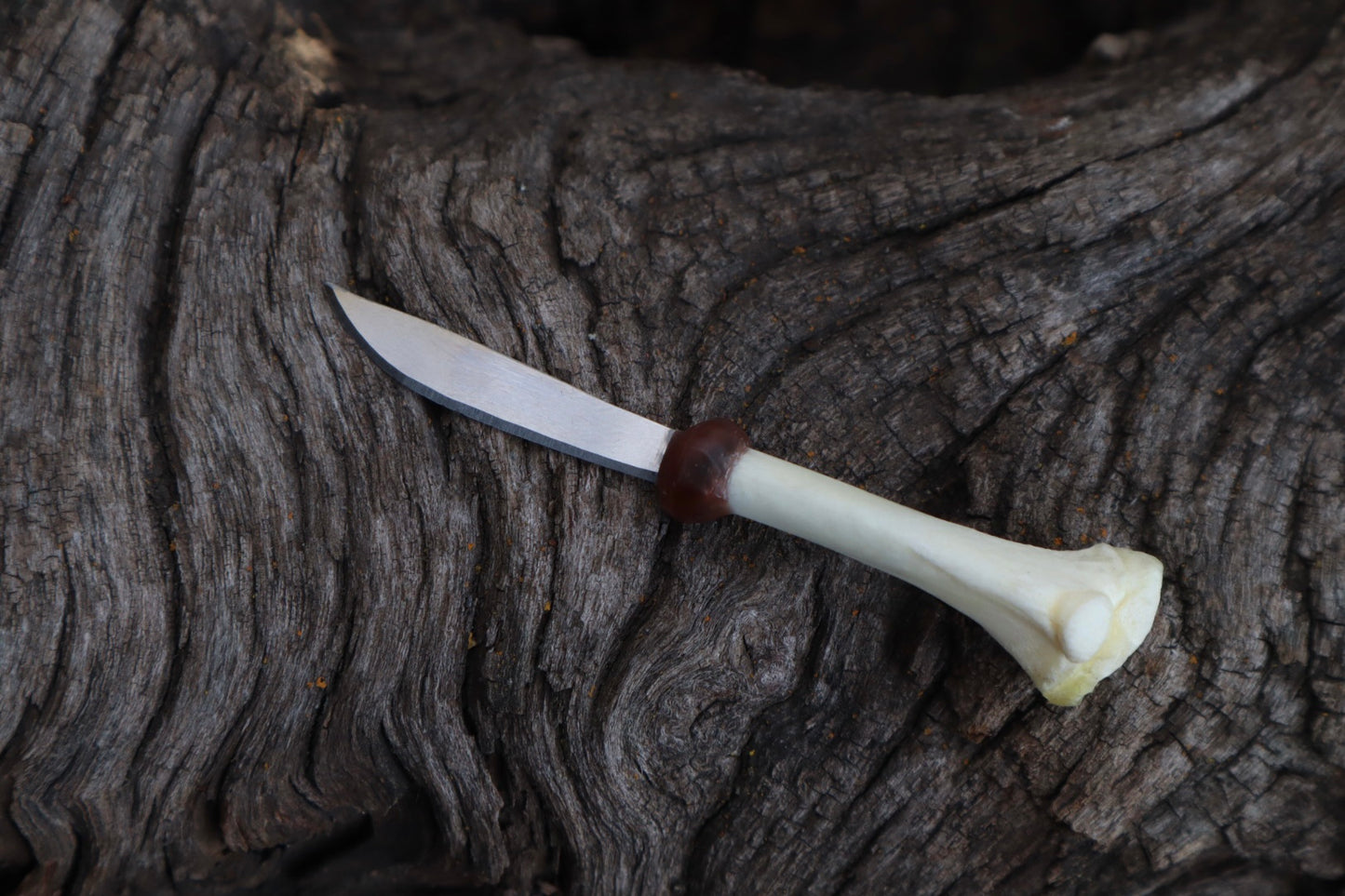 Kitten Tibia Knife