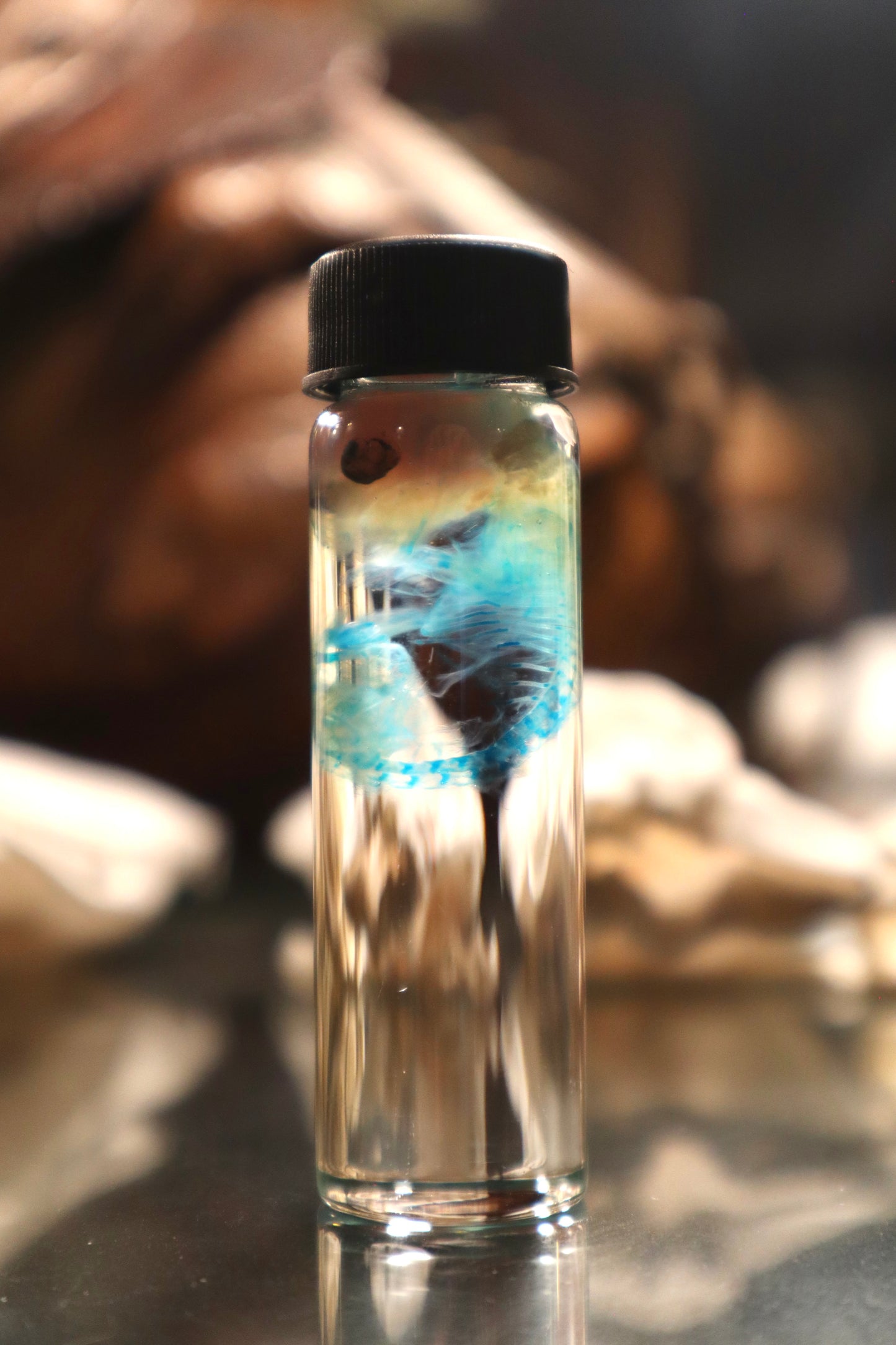 Diaphonized Fetal Cottontail Rabbit