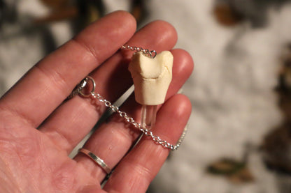 Raccoon Femur Pendulum with Ouroboros Ring