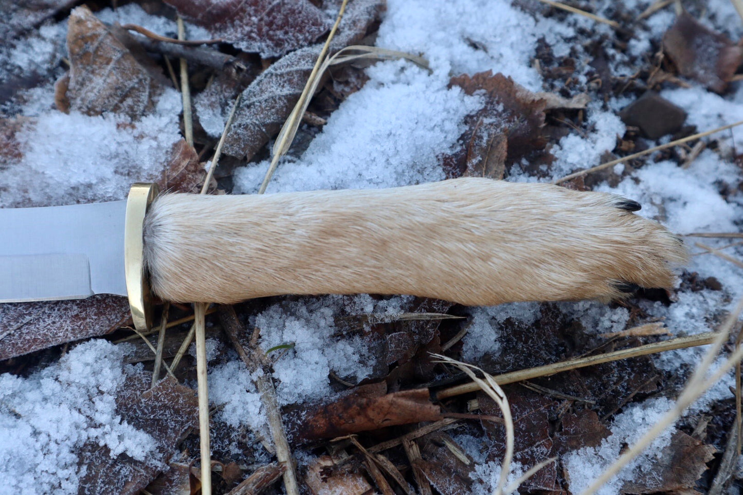 Coyote Paw Knife