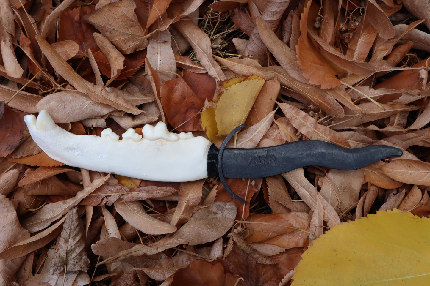 Black Iron Gray Wolf Mandible Knife with Celtic Gray Wolf Mandible Sheath