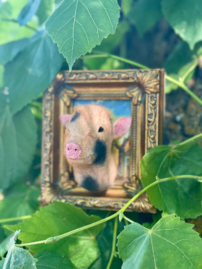 Reserved for Melissa - Framed Taxidermy Piglet