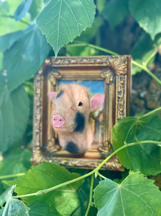 Reserved for Melissa - Framed Taxidermy Piglet