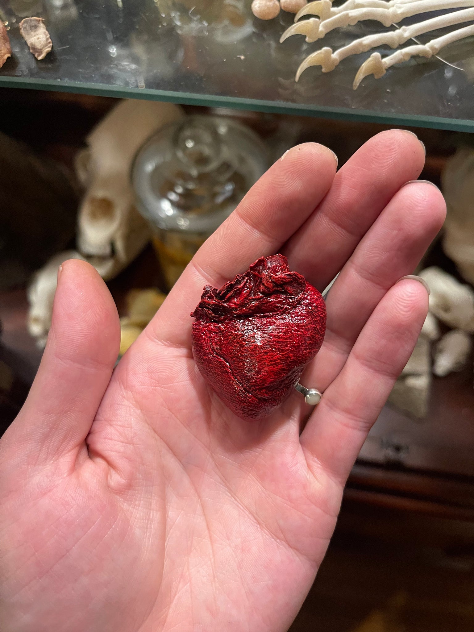 Reserved for Katie - Dry Preserved Red Fox Heart