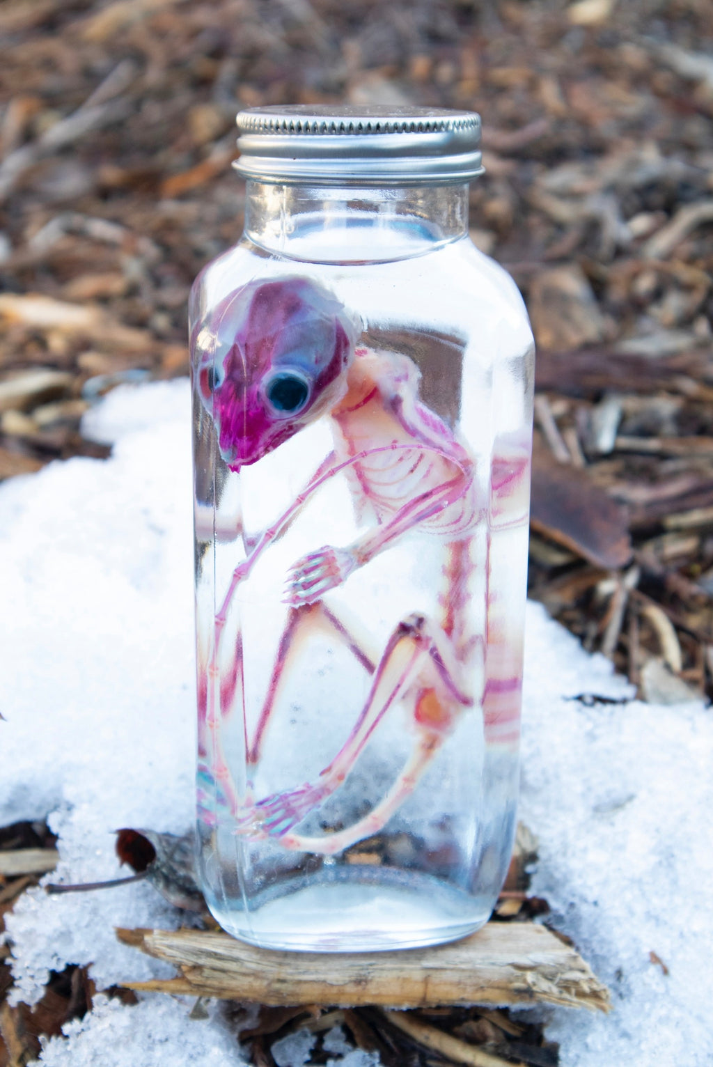 Reserved for Devyn - Diaphonized Sugar Glider