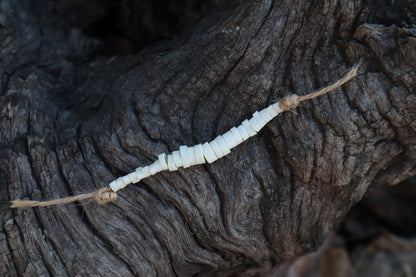 Reserved for Alexandra - Domestic Kitten Bone Beads