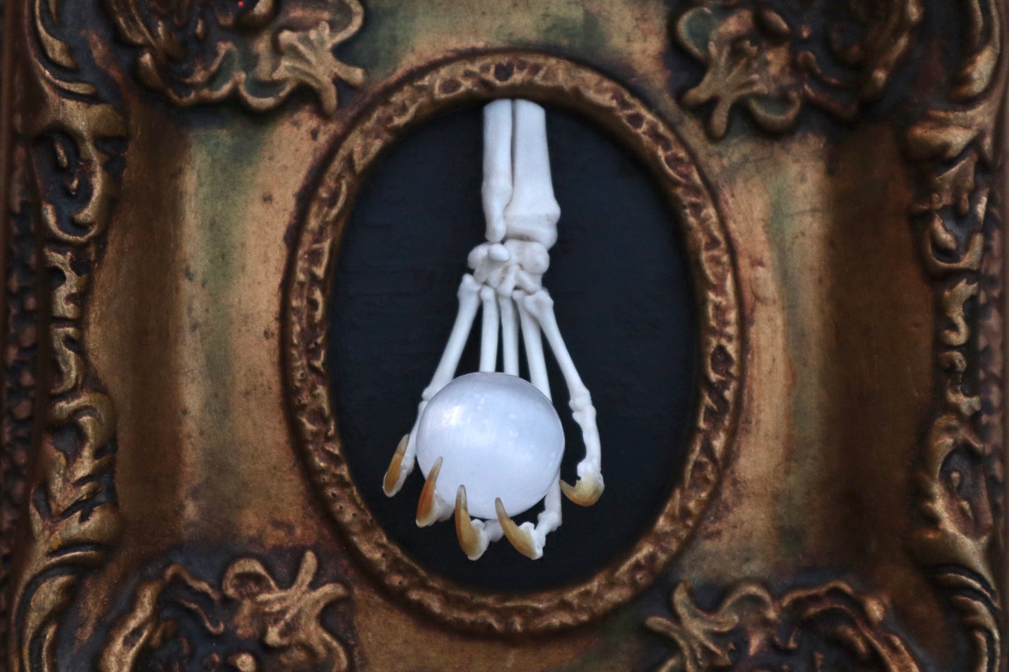 Raccoon Paw Articulation with Crystal Ball