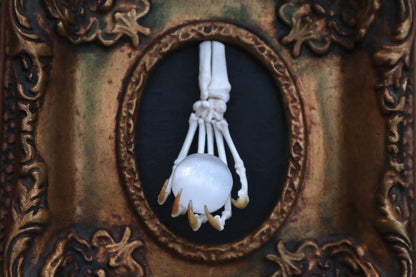 Raccoon Paw Articulation with Crystal Ball