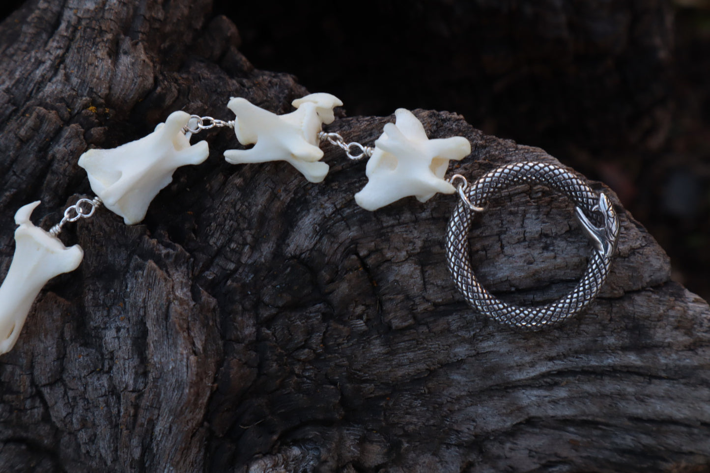 Fluid Coyote Tail Articulation with Ouroboros Ring