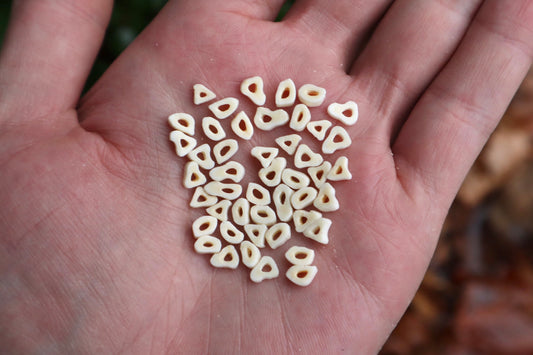 Polydactyl Cat Bone Beads
