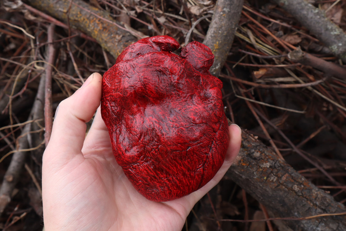 Dry Preserved Gray Wolf Heart
