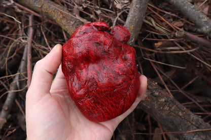 Dry Preserved Gray Wolf Heart