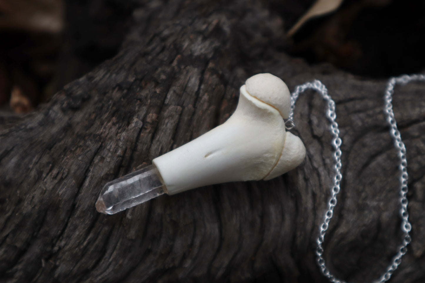 Whitetail Fawn Femur Pendulum with Ouroboros Ring