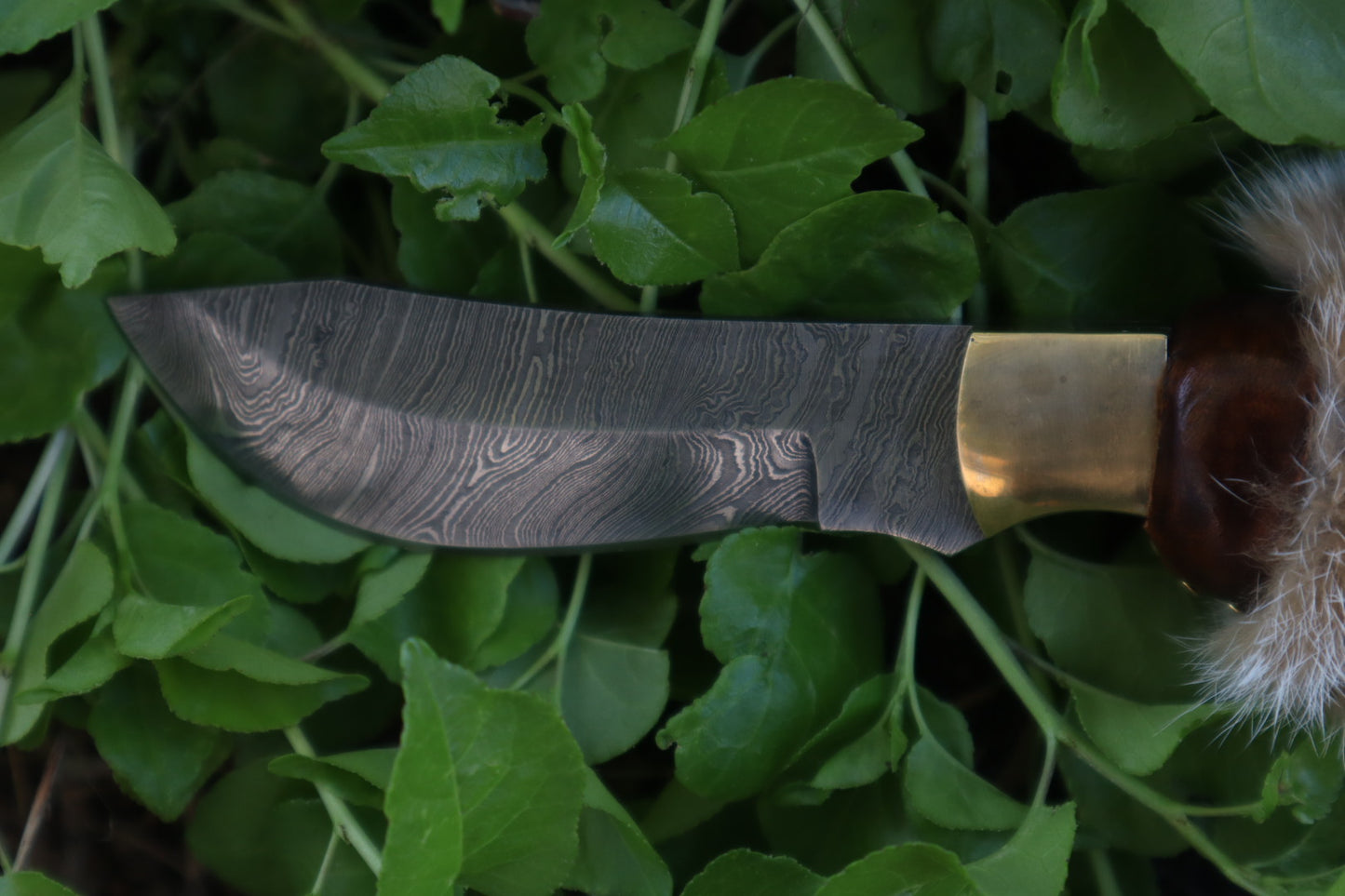 Reserved for Ryan Conner - Custom Damascus Bobcat Paw Knife with Leather Sheath
