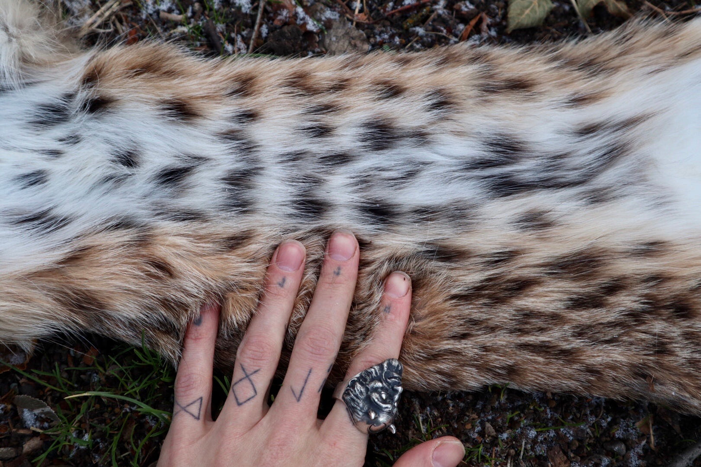 Bobcat Wallhanger
