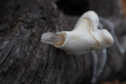 Whitetail Fawn Femur Pendulum with Ouroboros Ring