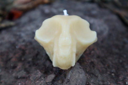 Cat Skull Candle - Natural Beeswax