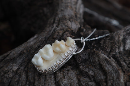 Reserved for Cora - Raccoon Skull Fragment Necklace - .925 Sterling Silver